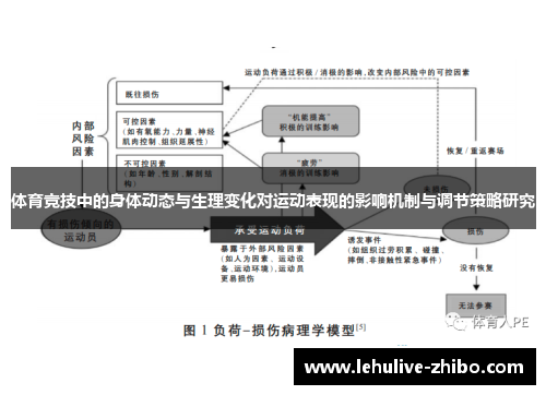 体育竞技中的身体动态与生理变化对运动表现的影响机制与调节策略研究